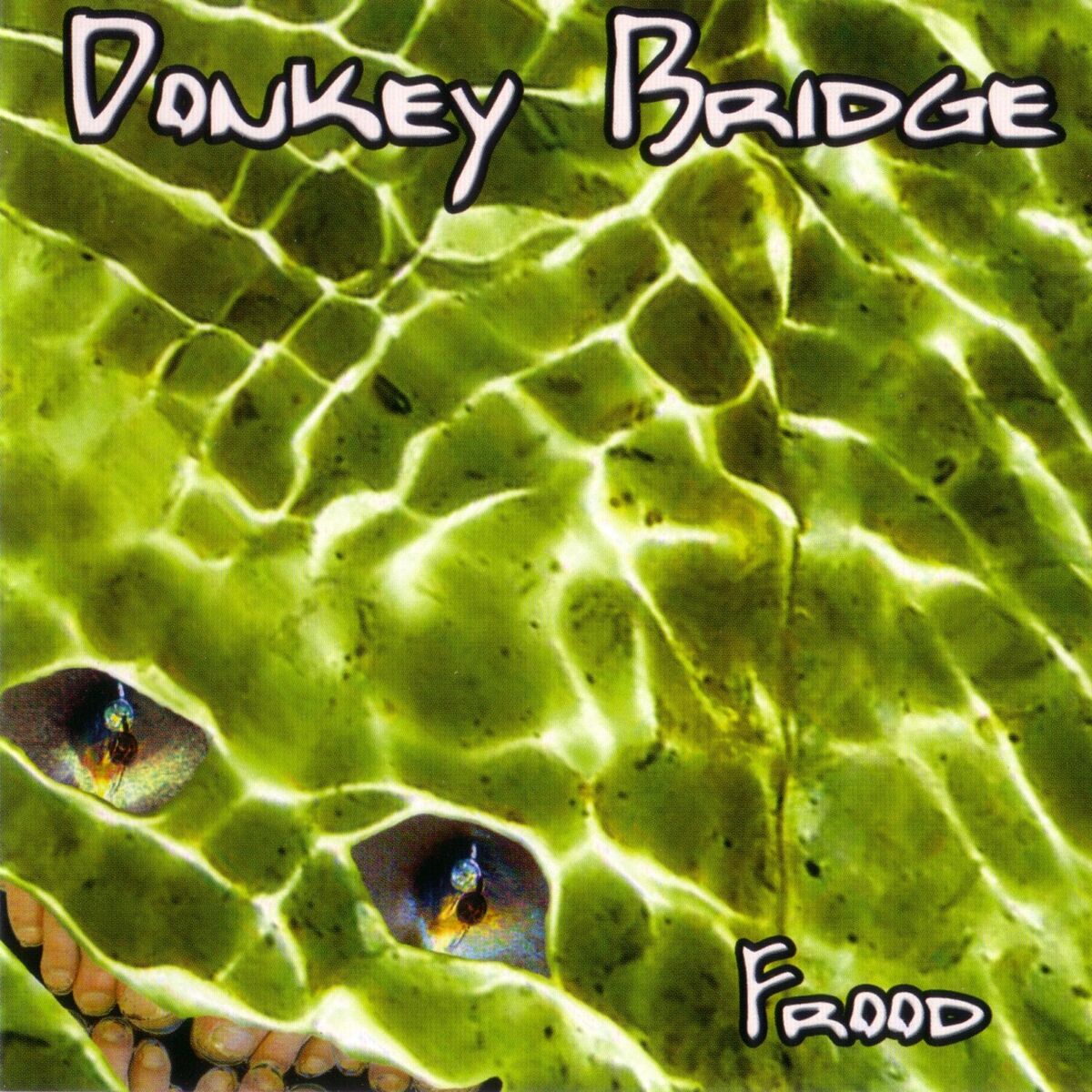 Album cover of Frood