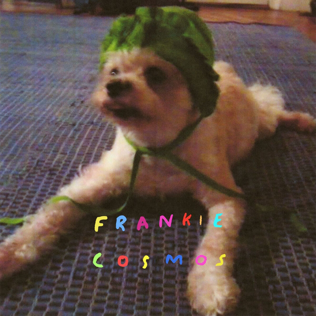 Album cover of Leonie