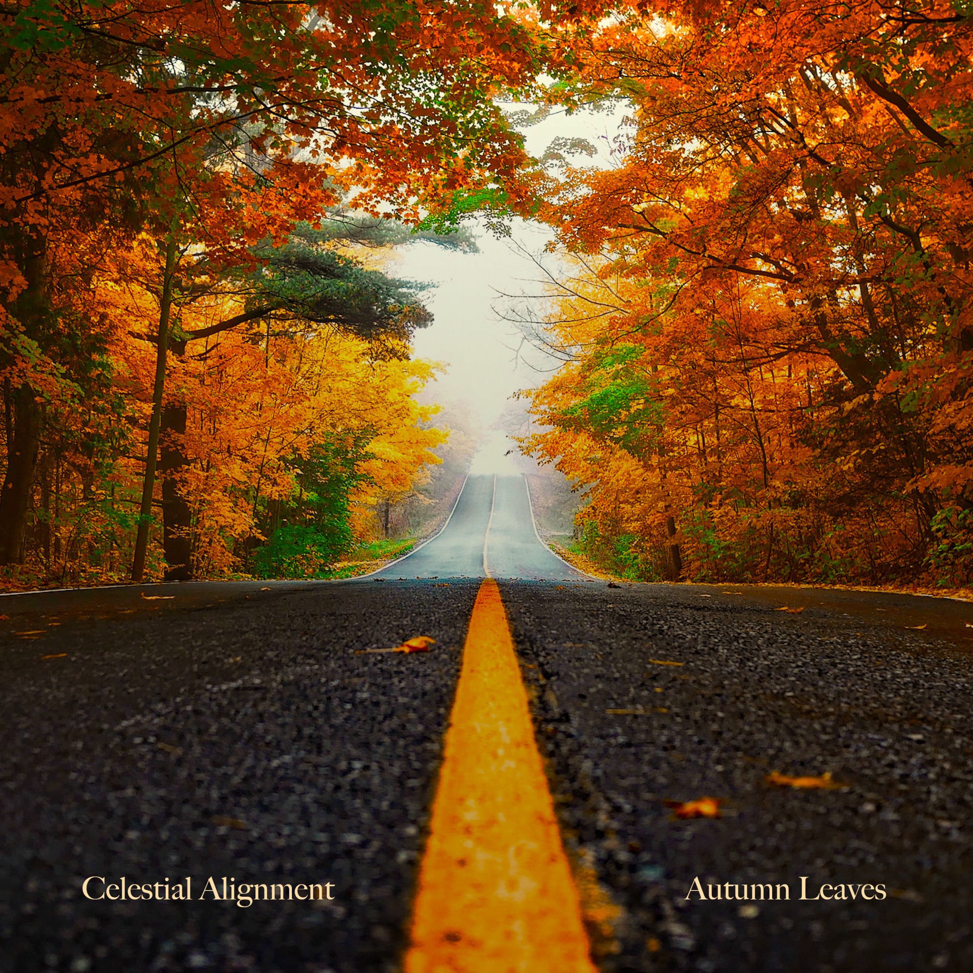Album cover of Autumn Leaves