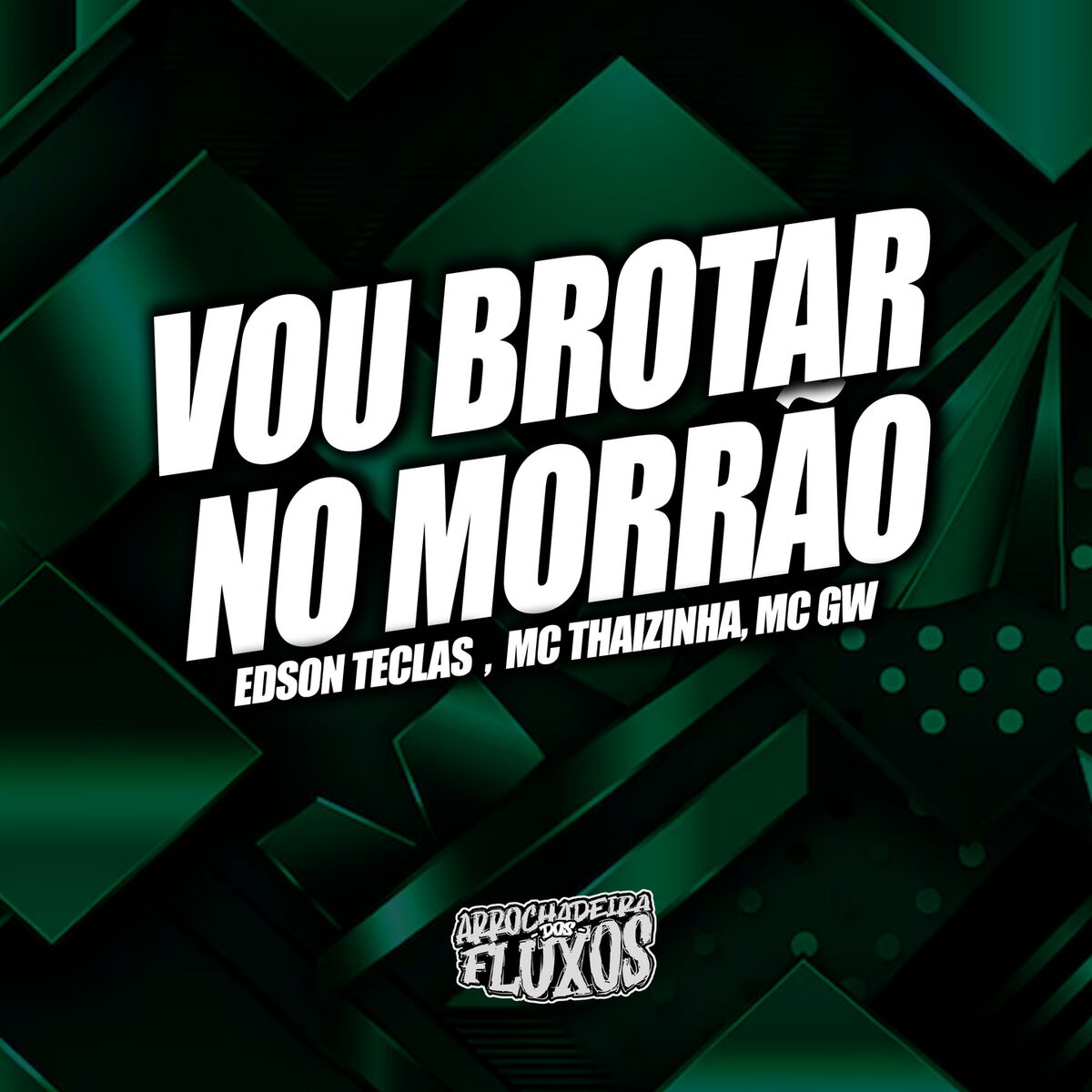 Album cover of Vou Brotar no Morrão
