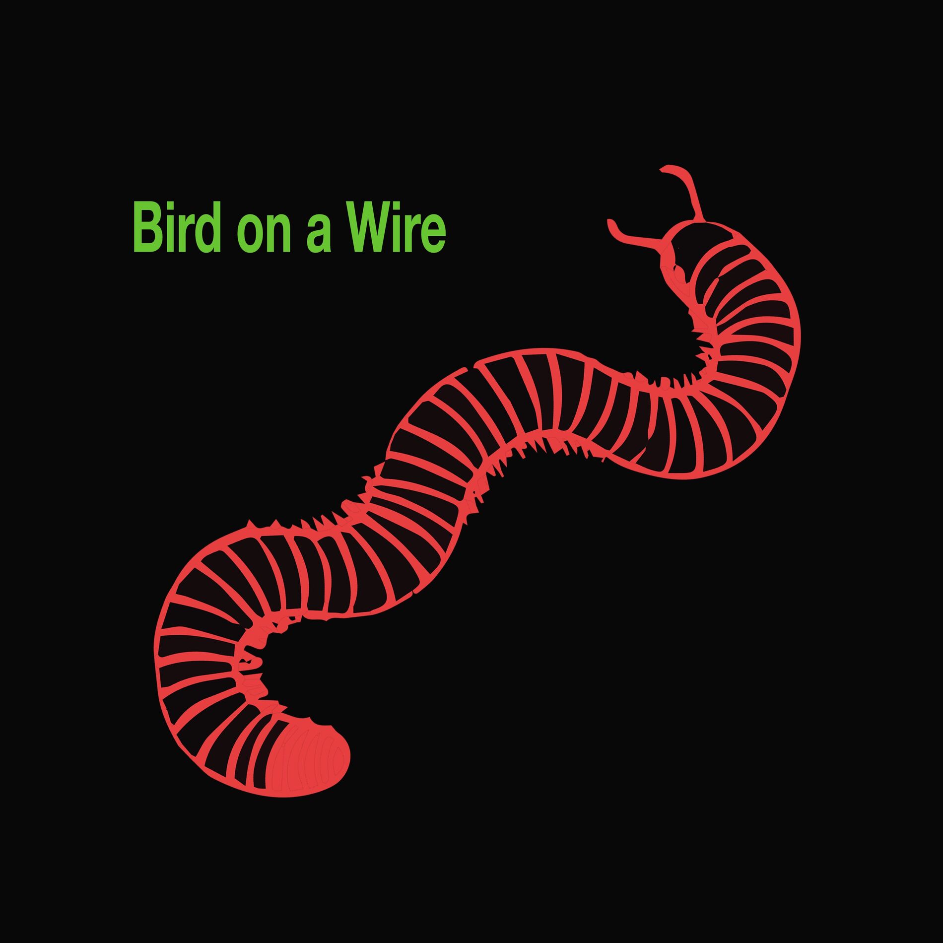 Album cover of Bird on a Wire