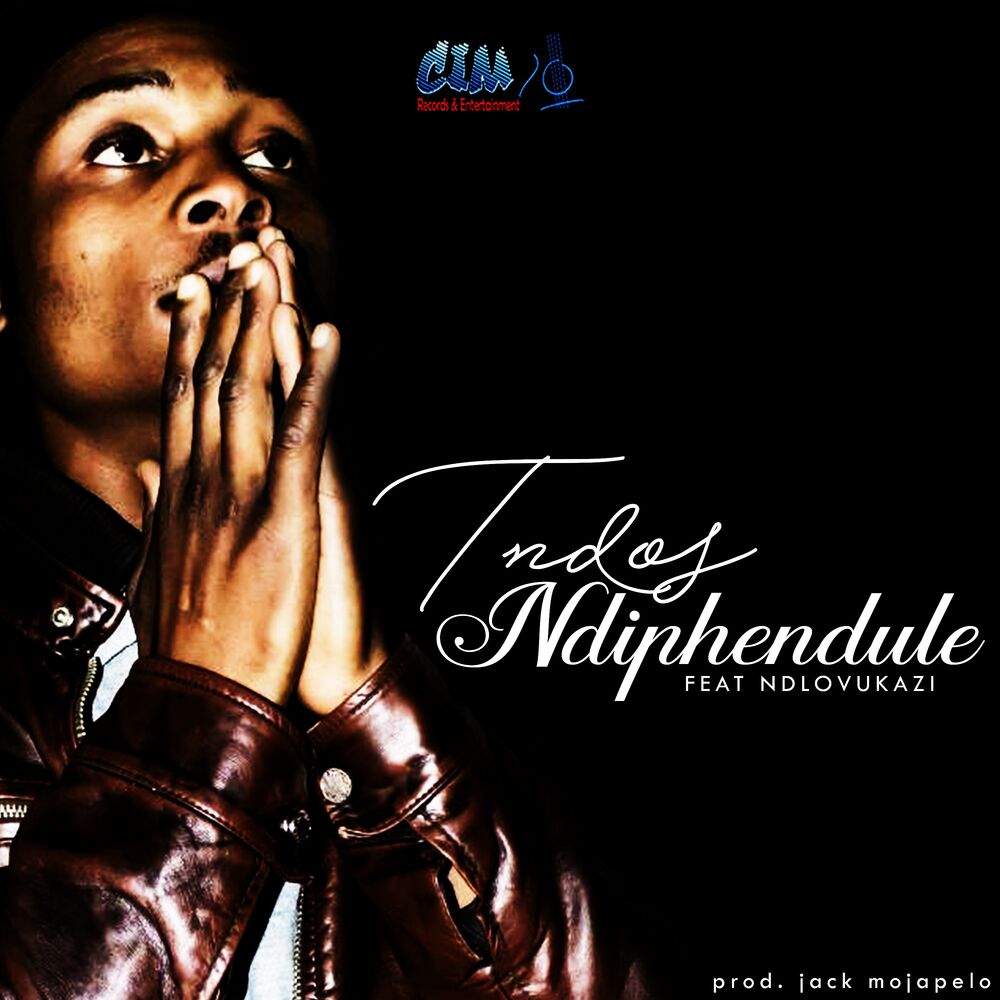 Picture of Ndiphendule