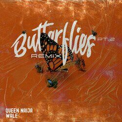 Cover of Butterflies Pt. 2 (Wale Remix)