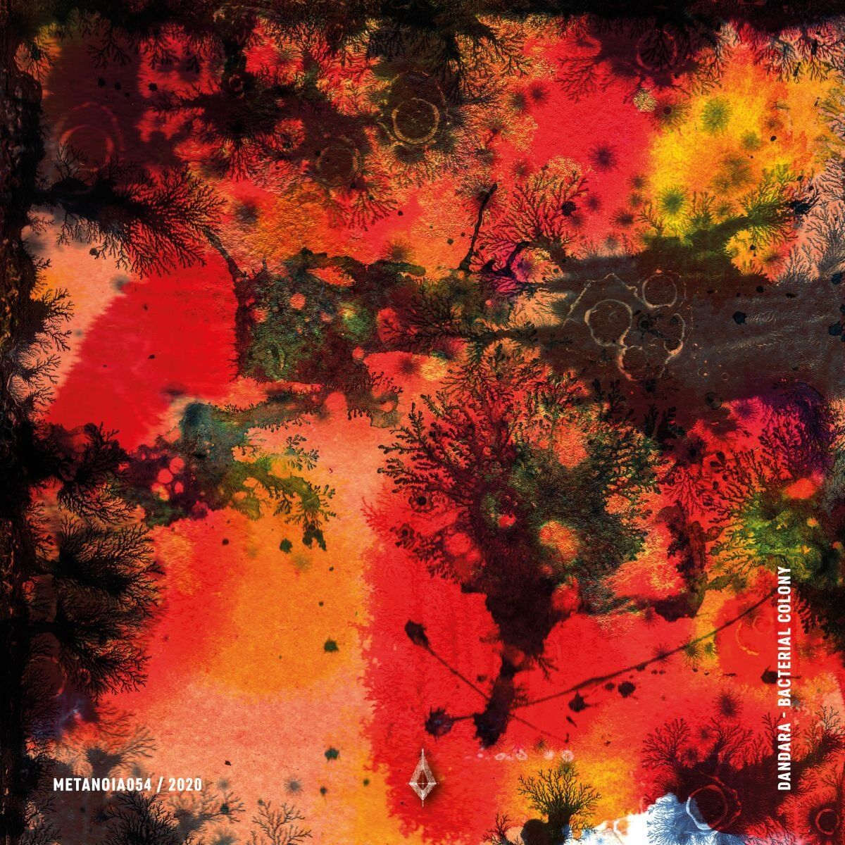 Album cover of Bacterial Colony
