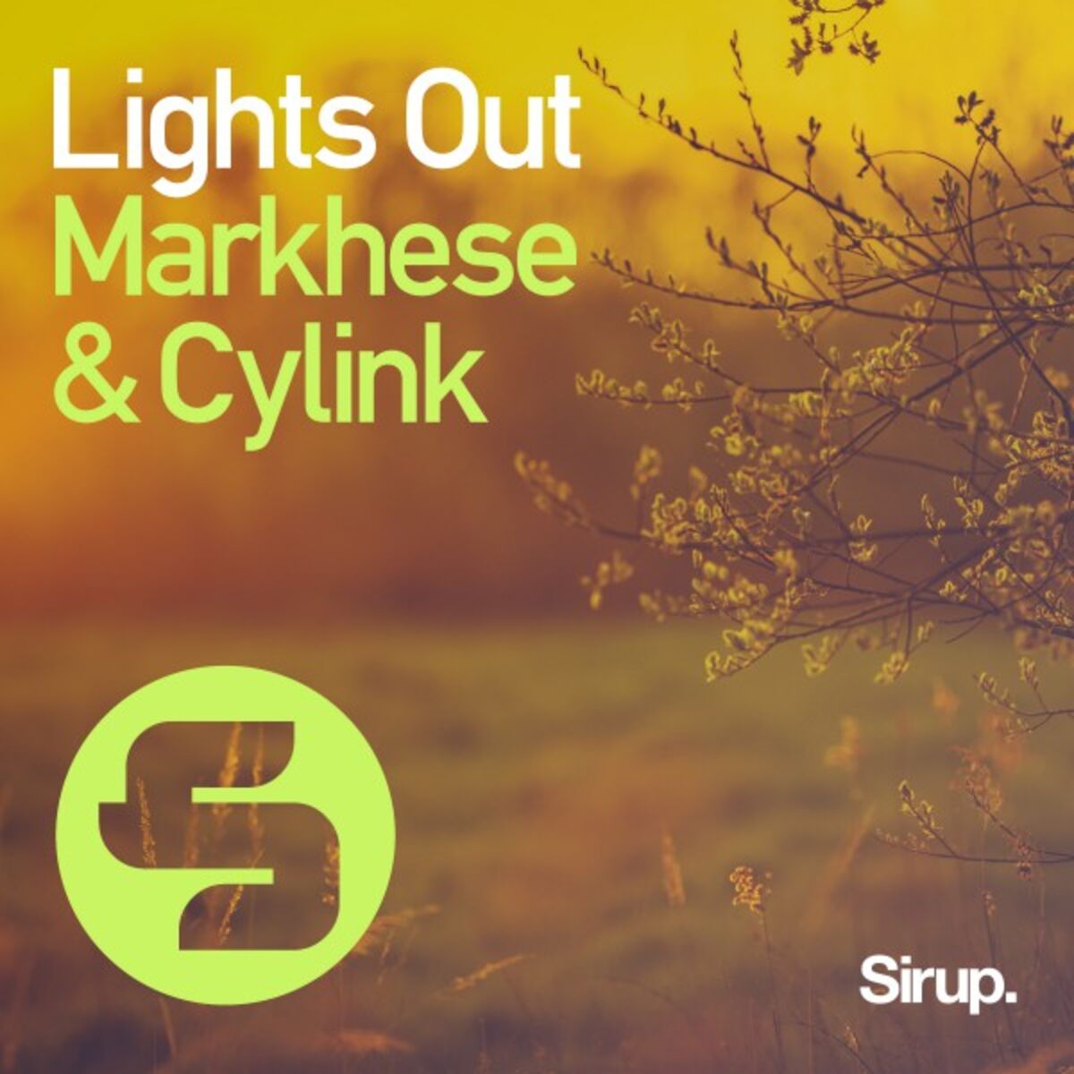 Album cover of Lights Out