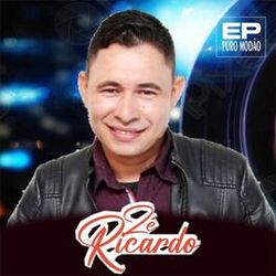 Cover of Puro Modão