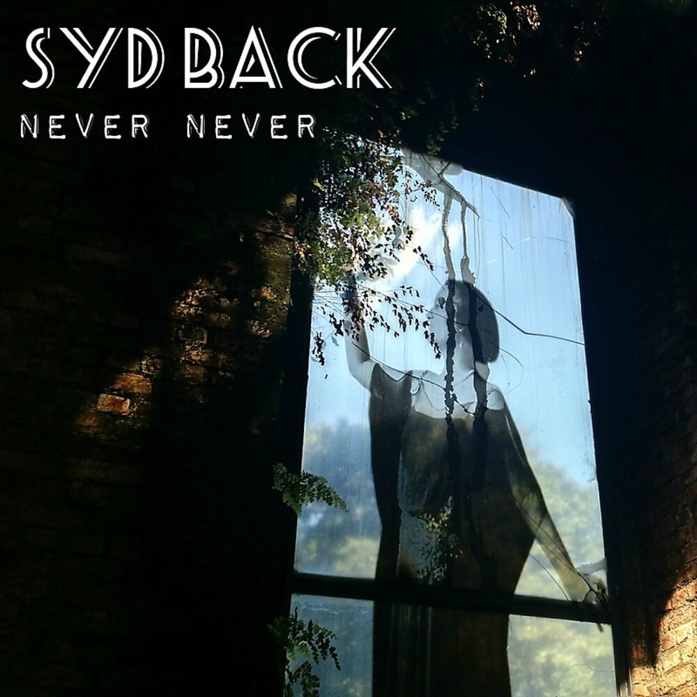 Picture of Never Never (Single)