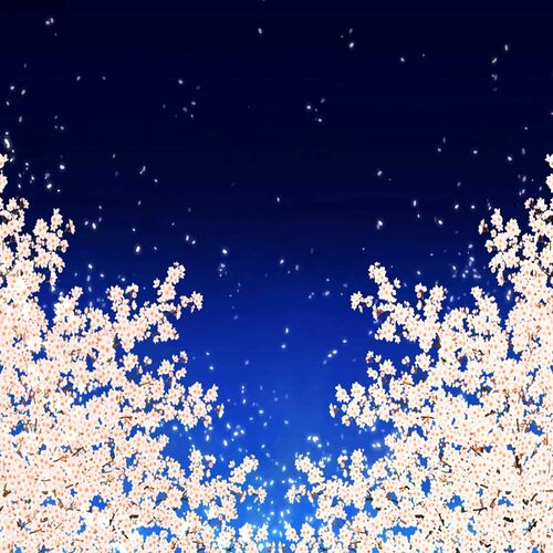 Sotk – When the cherry blossoms bloom – Single