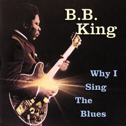 Cover of Why I Sing The Blues