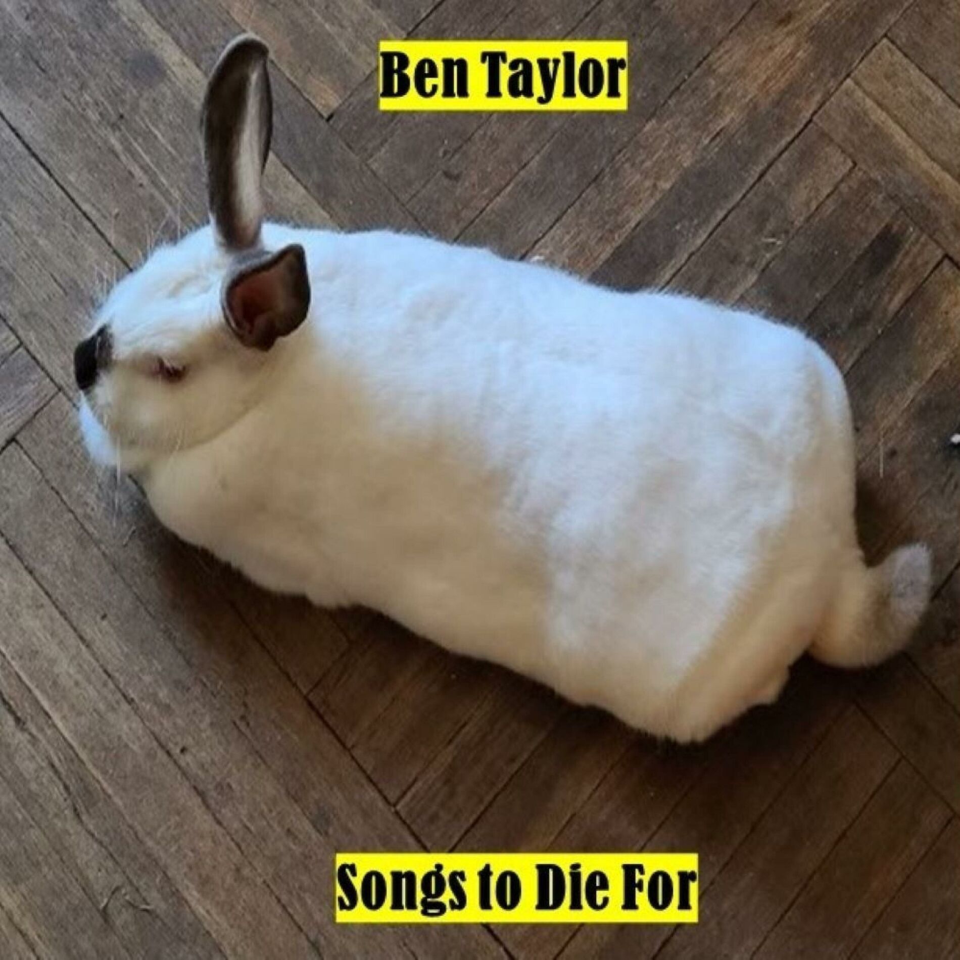 Album cover of Songs to Die For