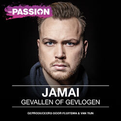 Cover of Gevallen Of Gevlogen