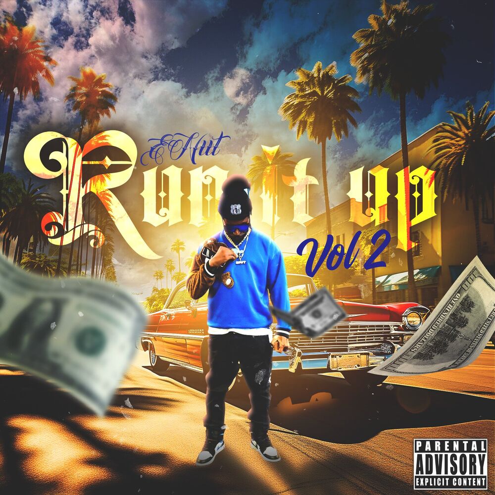 Picture of Run It Up, Vol. 2