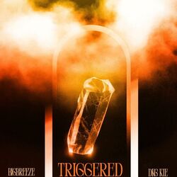 Cover of Triggered