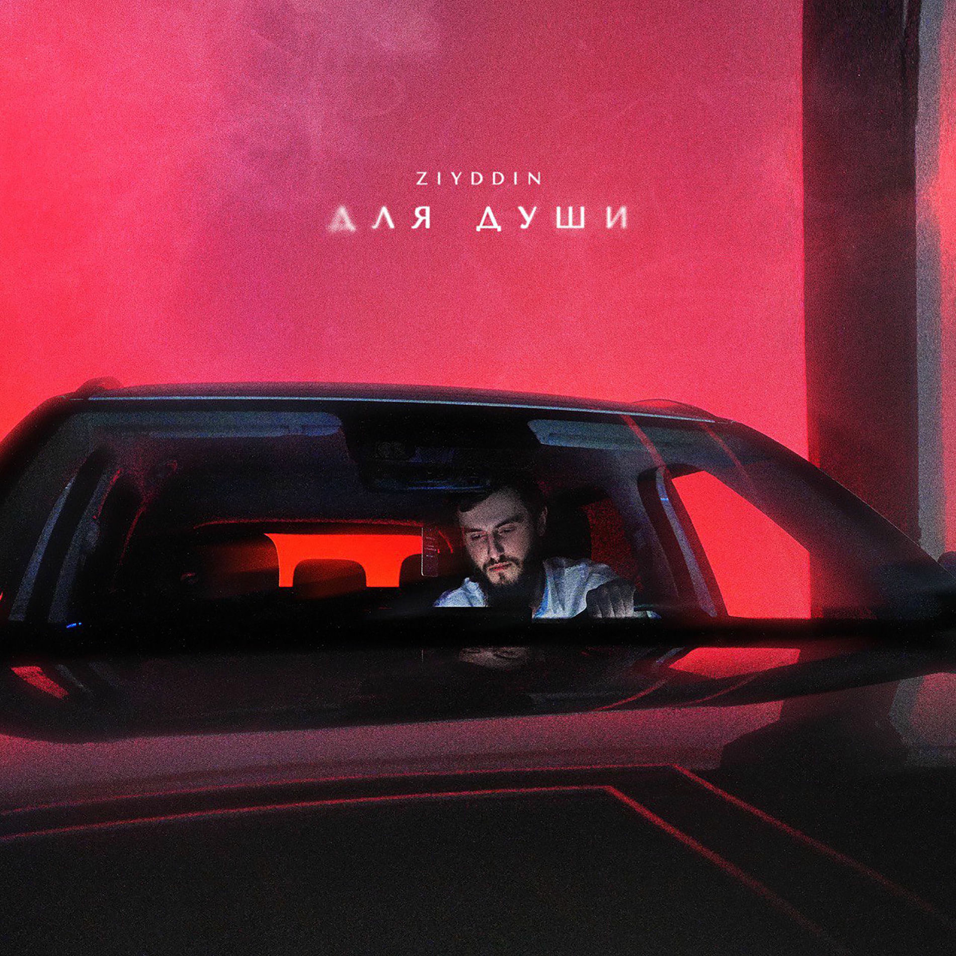 Yetuk sargish bajonidil qattiq xorozni soradi va uni chuqur yutadi Yetuk sargish bajonidil qattiq xorozni soradi va uni chuqur yutadi