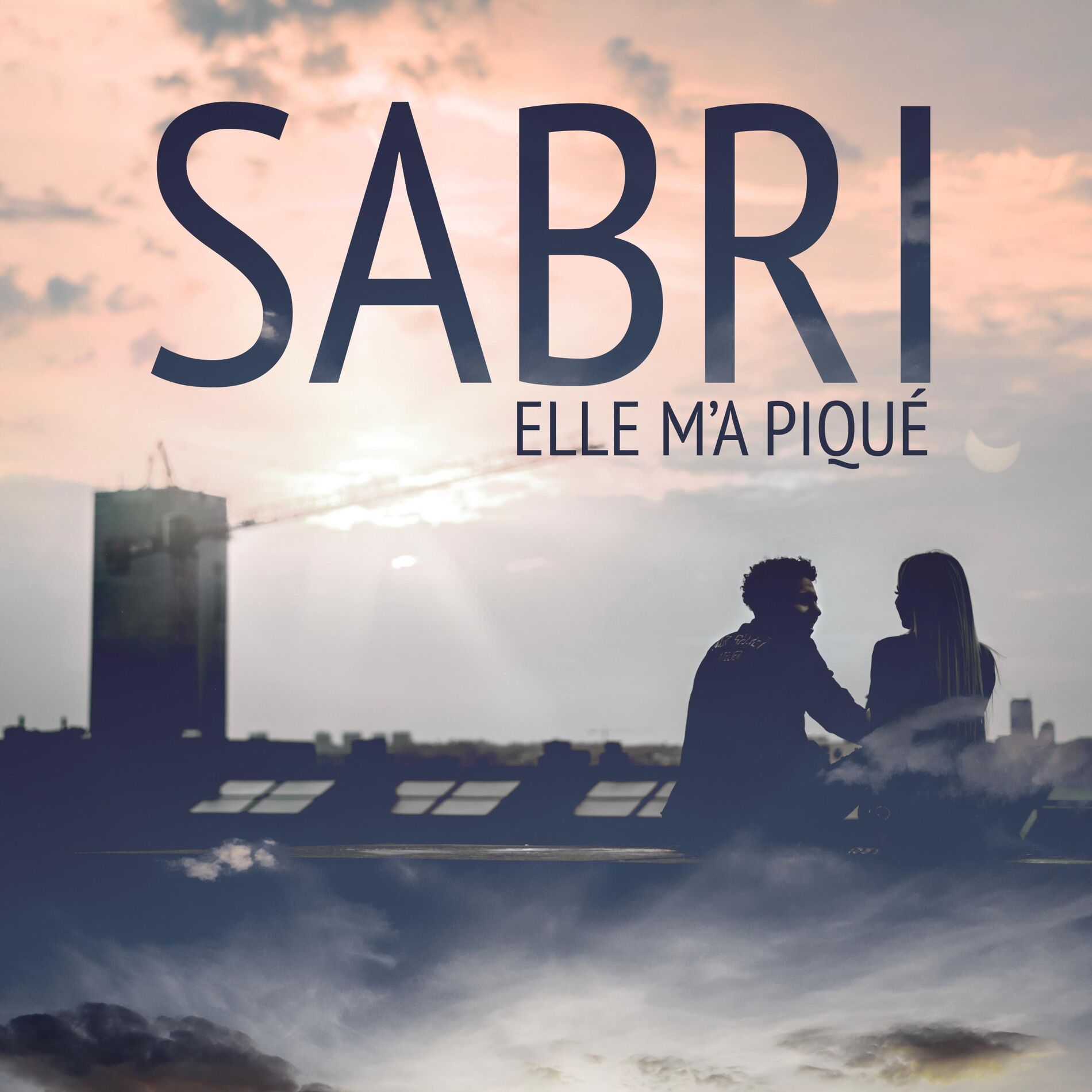 Album cover of Elle m'a piqué