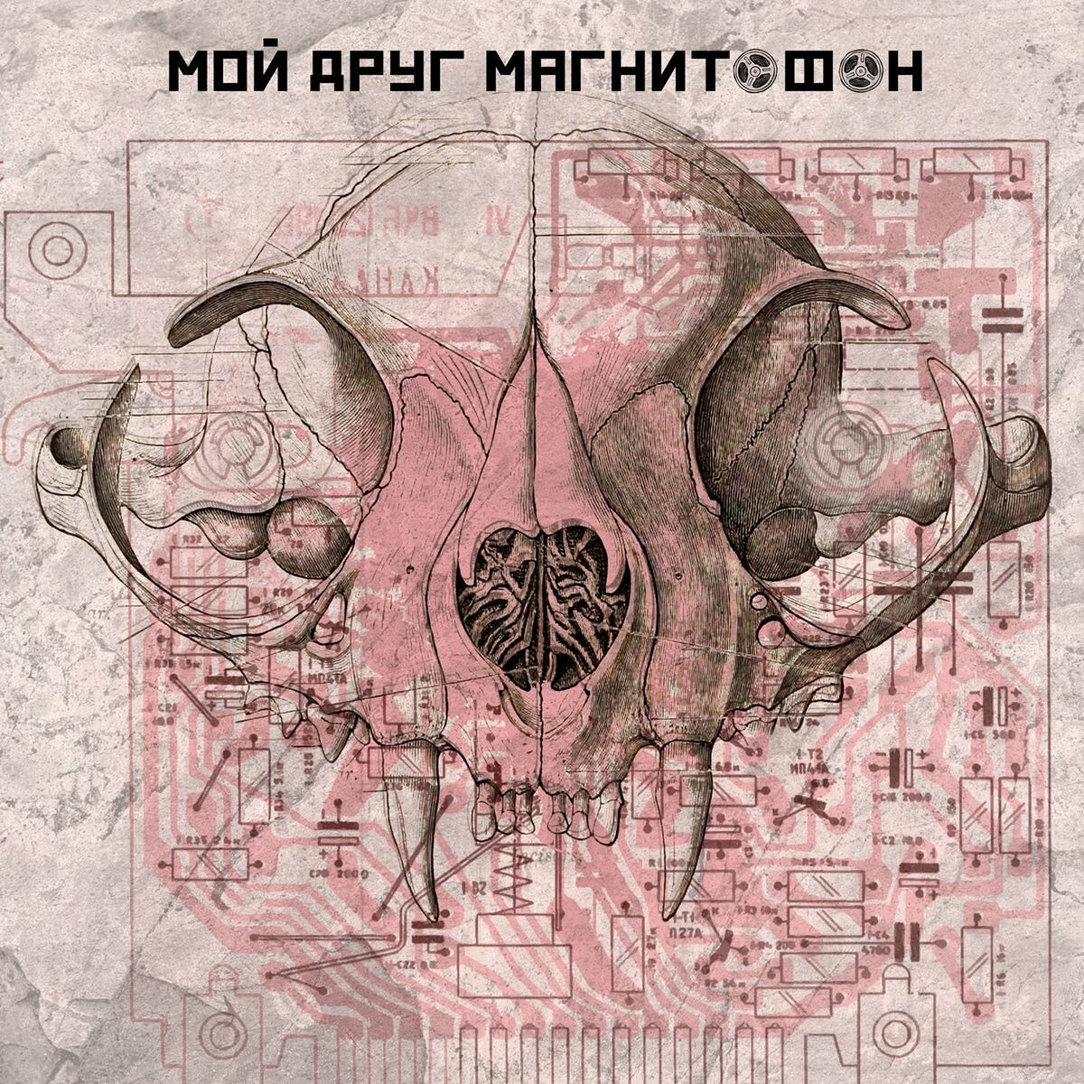 Album cover of мой друг магнитофон
