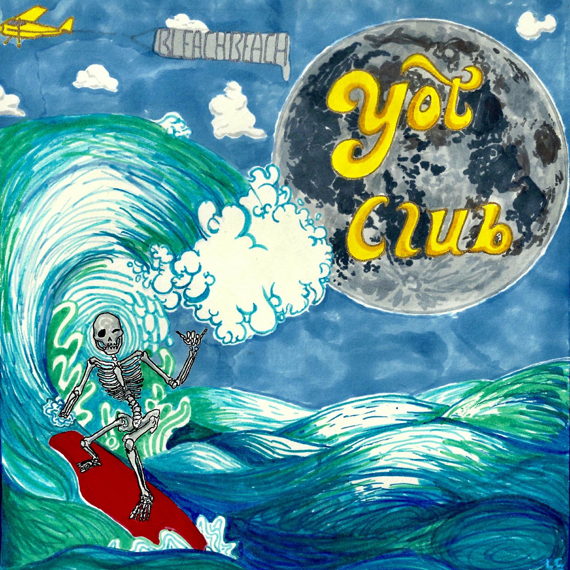 Album cover of japan