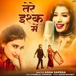 Cover of Tere Ishq Mai
