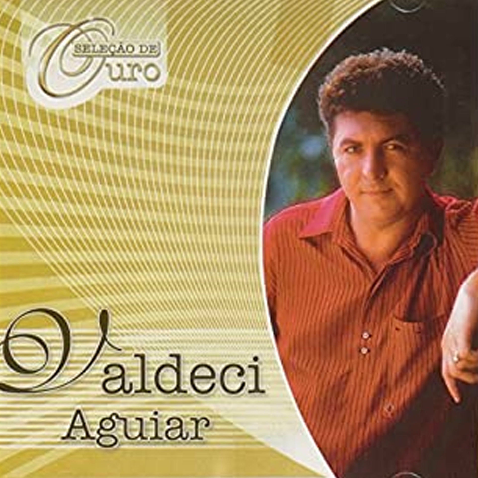 Album cover of Seleção De Ouro Valdeci Aguiar