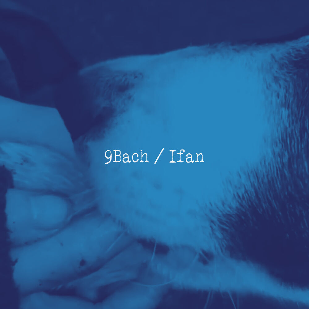 Picture of Ifan (Edit)
