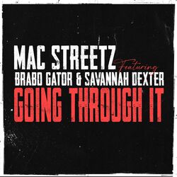 Cover of Going Through It