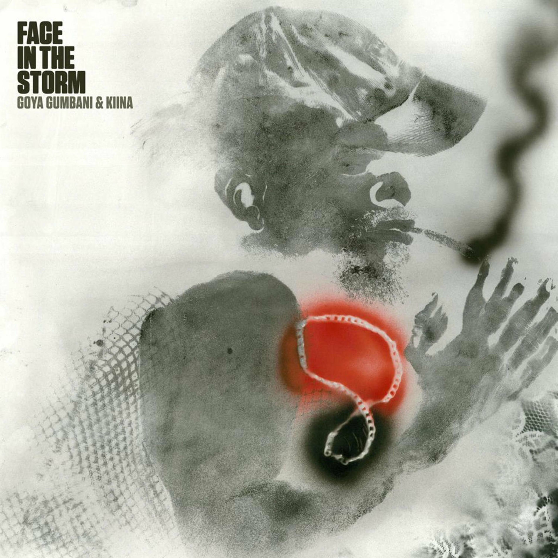 Album cover of Face In The Storm