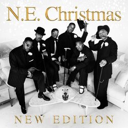 Cover of N.E. Christmas