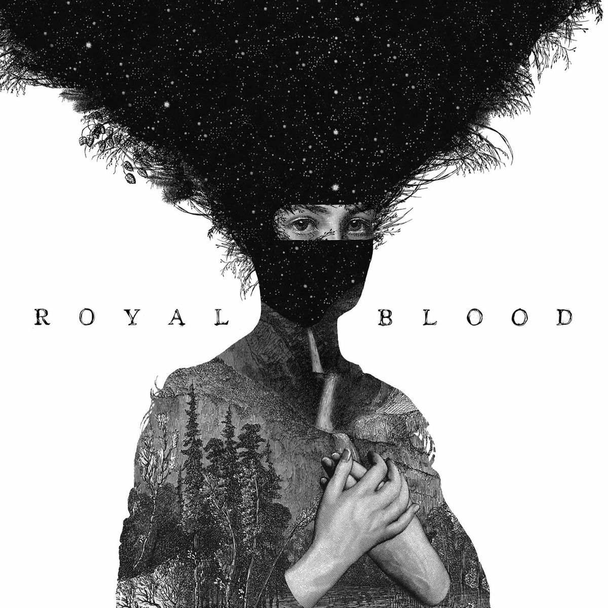 Album picture of Royal Blood