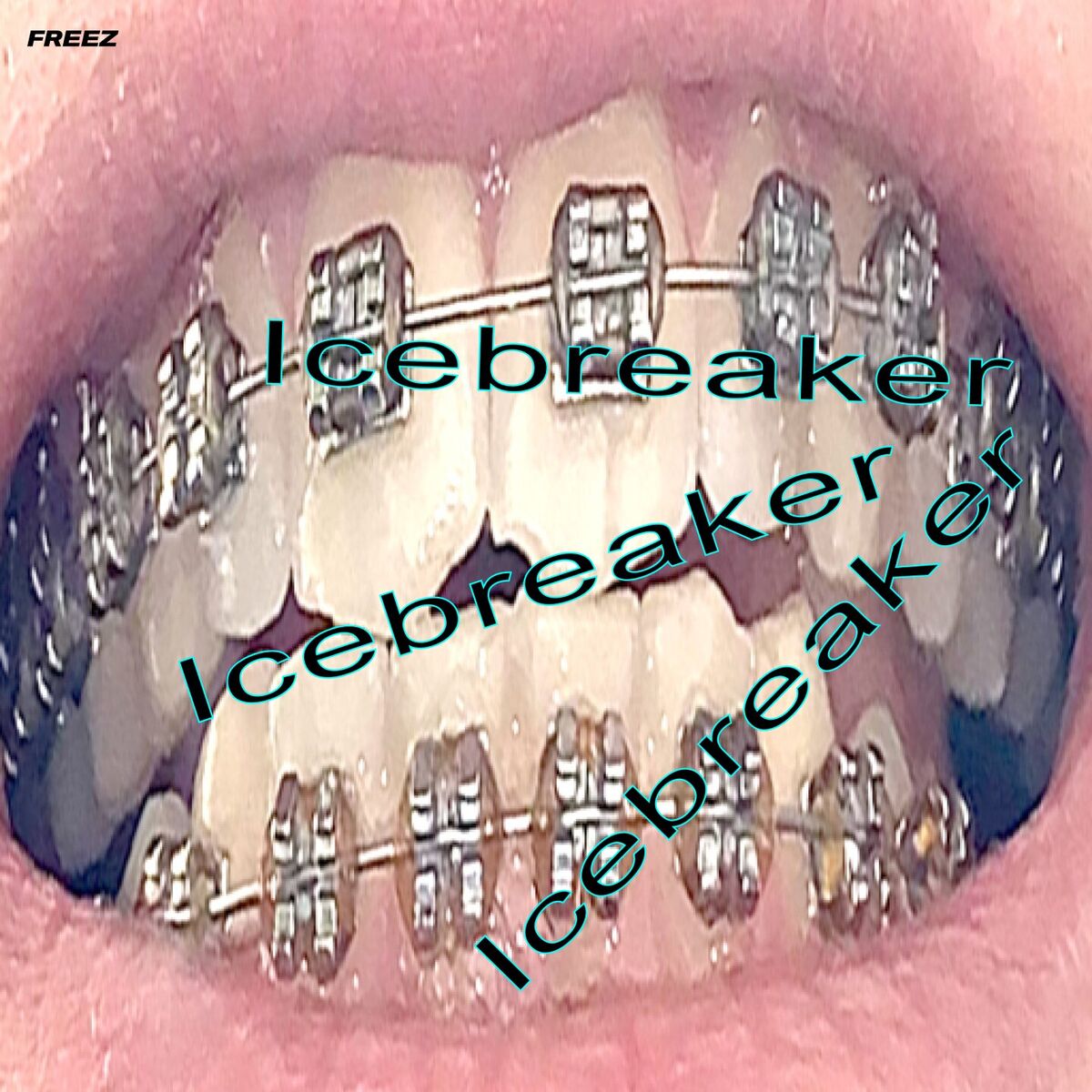 Album cover of Icebreaker