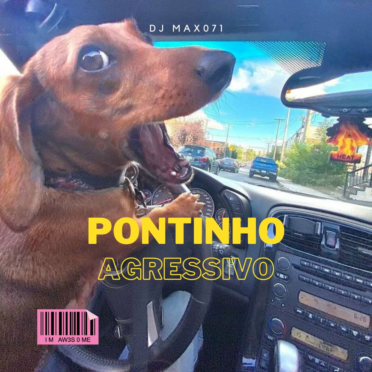 Album cover of Pontinho Agressivo