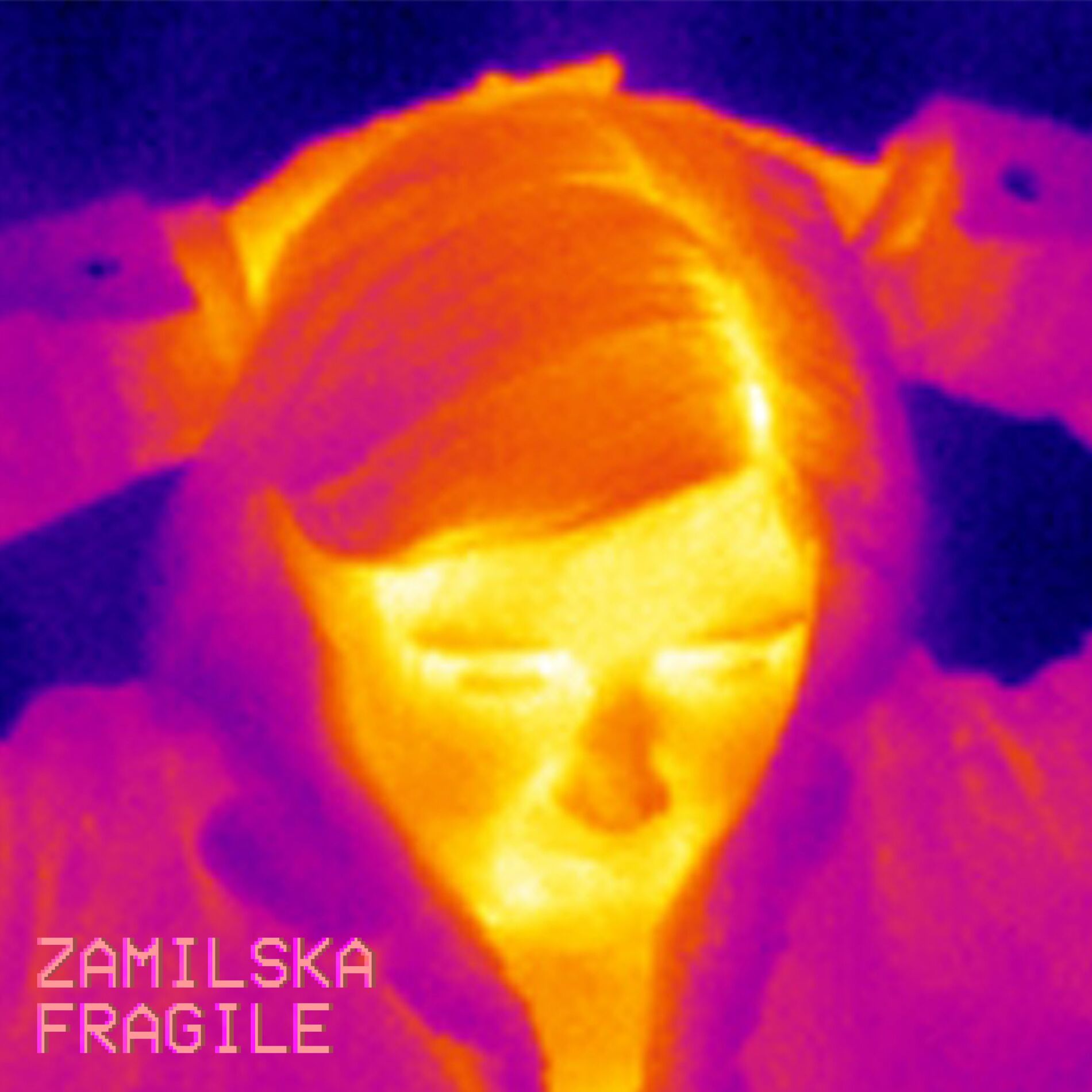 Album cover of Fragile