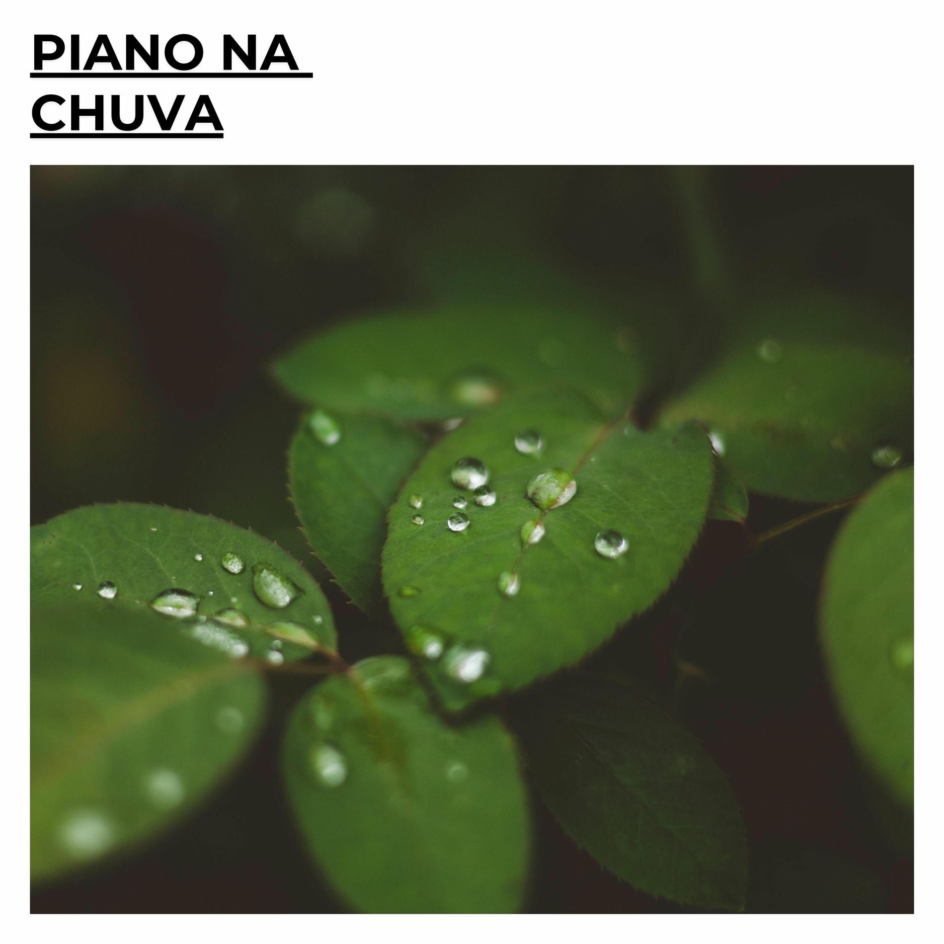 Album cover of Piano na Chuva