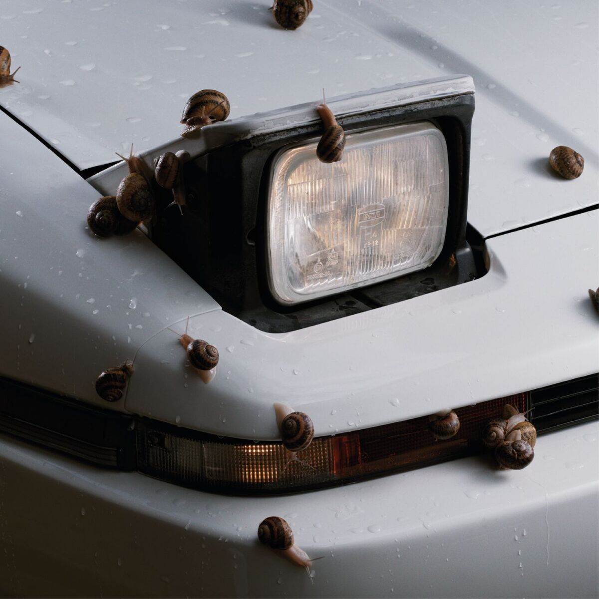 Album cover of DE NOTA EN NOTA