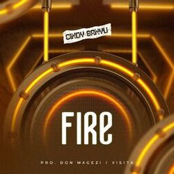 Cover of Fire