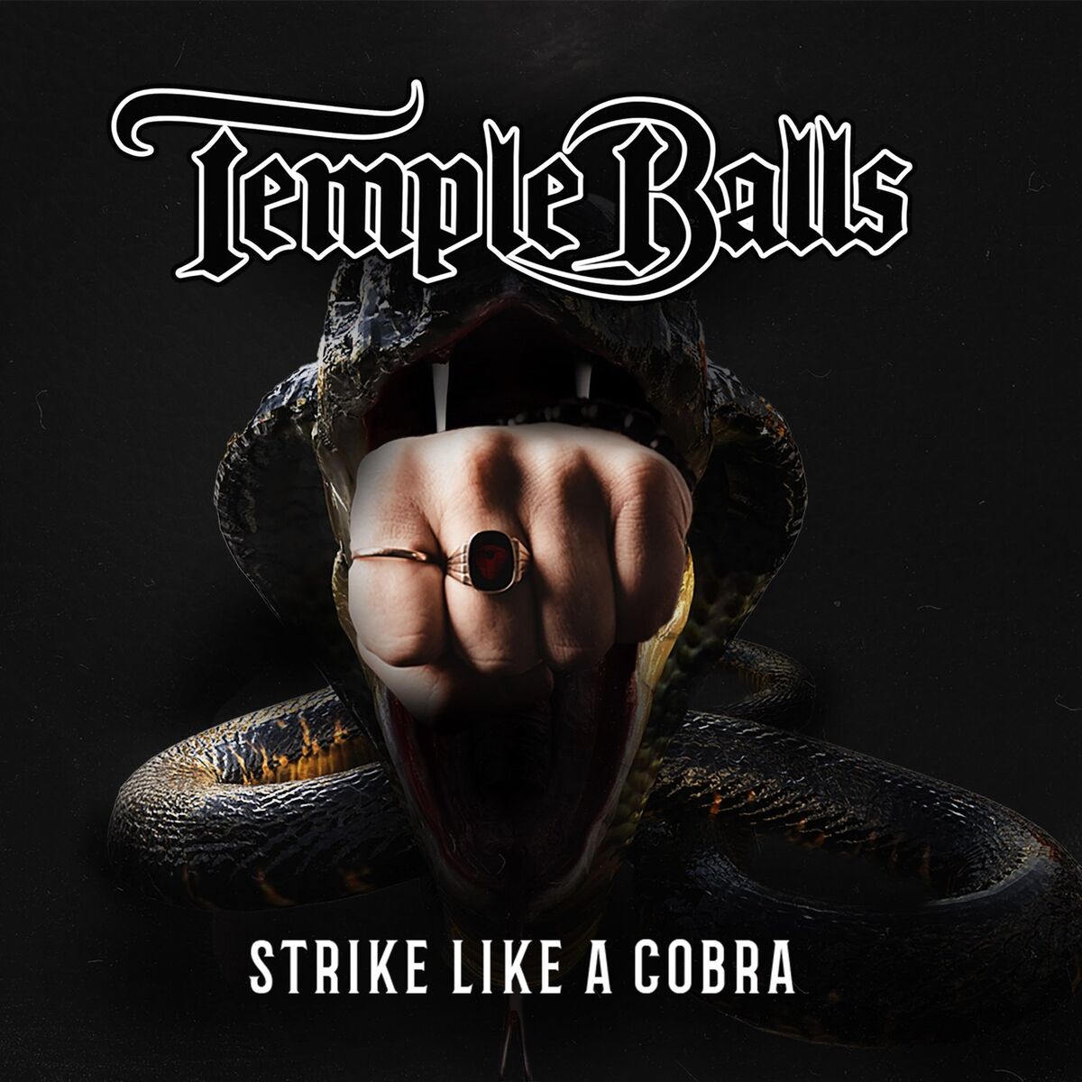 Album cover of Strike Like a Cobra