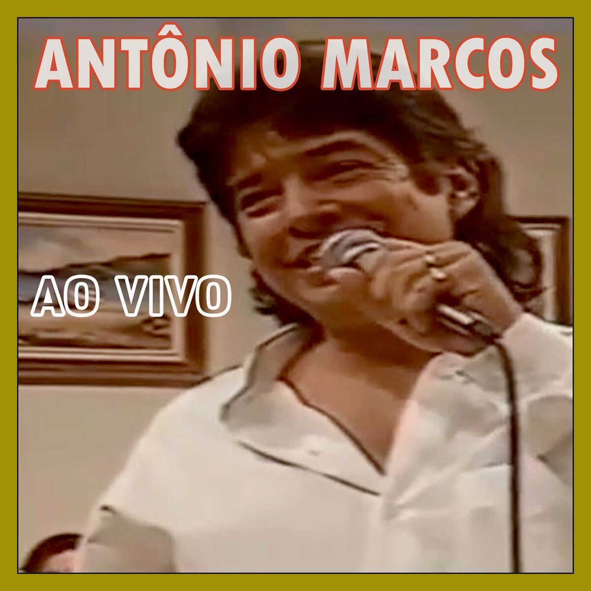 Album cover of Sucessos - Ao Vivo