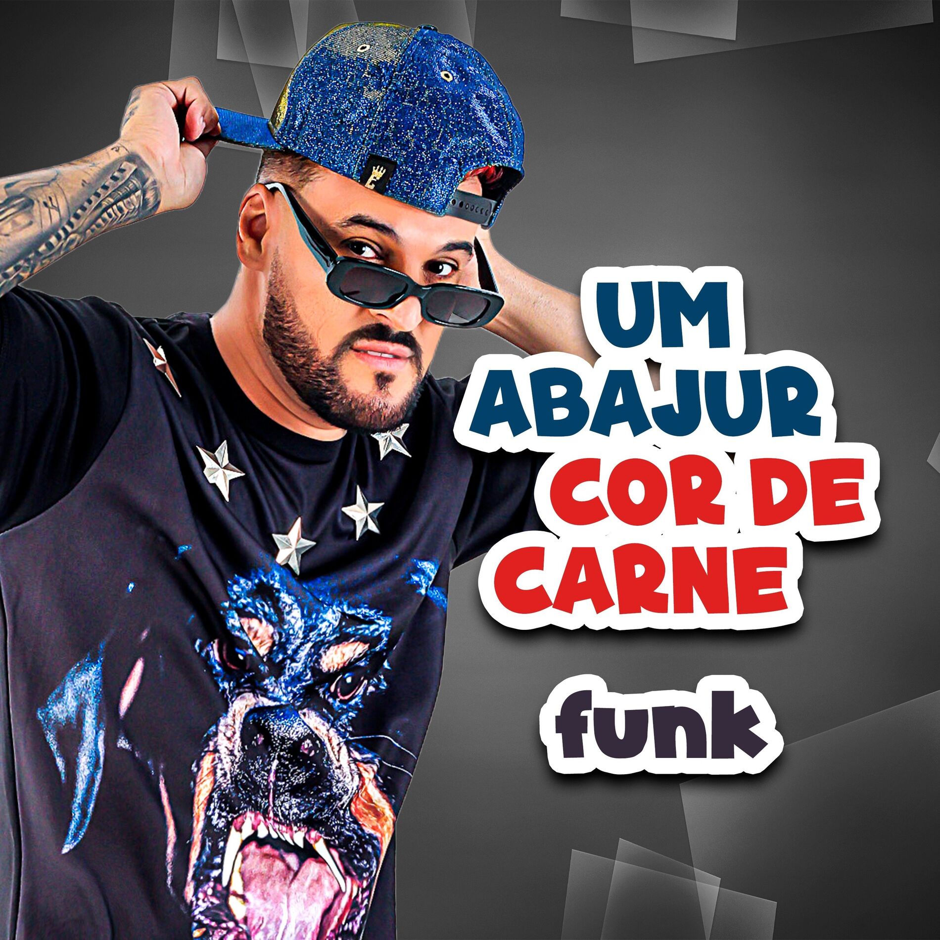 Album cover of Um Abajur Cor de Carne Funk