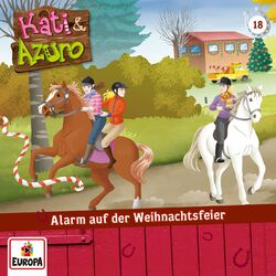 Cover of 018/Alarm auf der Weihnachtsfeier