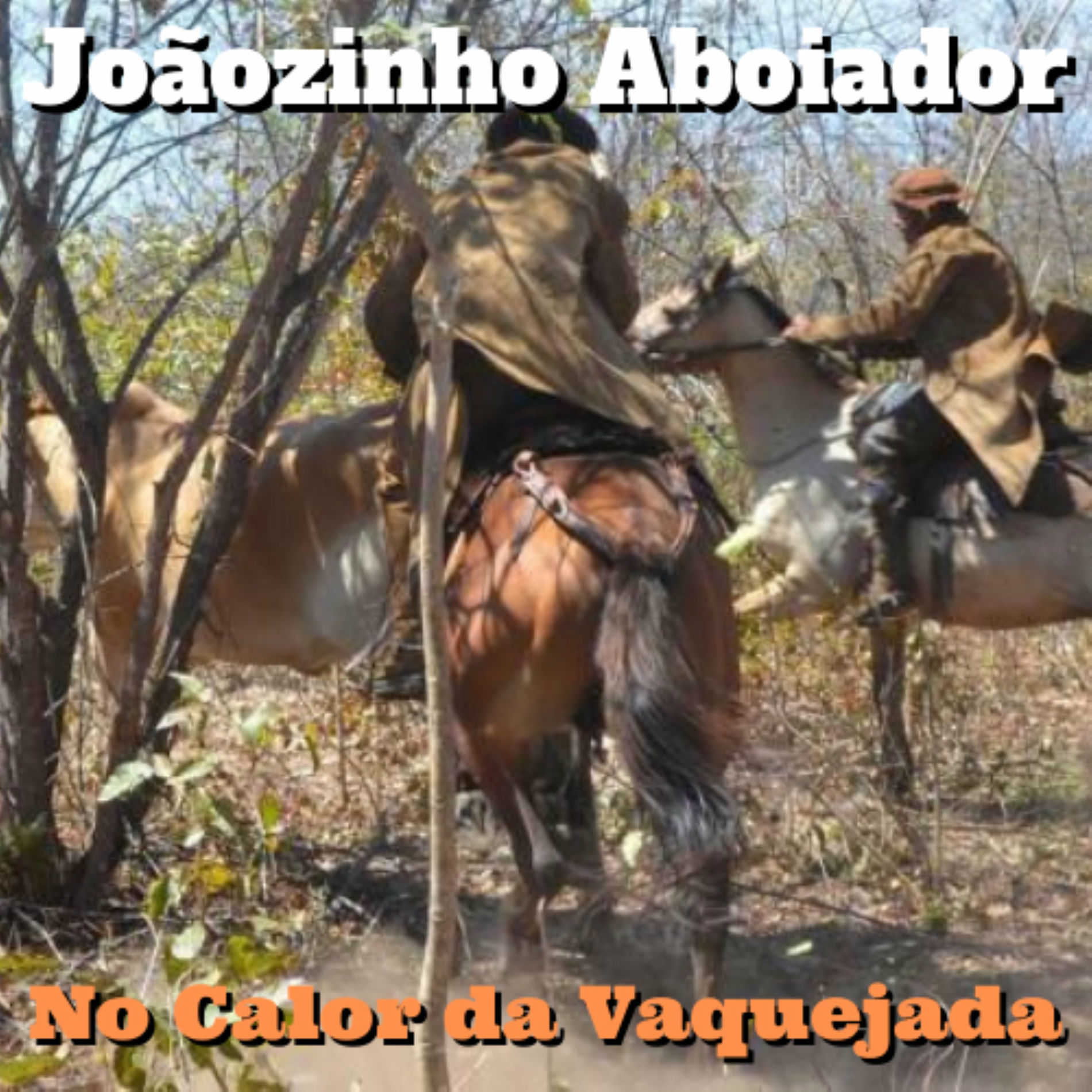 Album cover of No Calor da Vaquejada