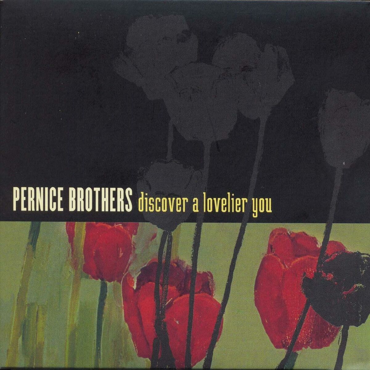 Album cover of Discover A Lovelier You