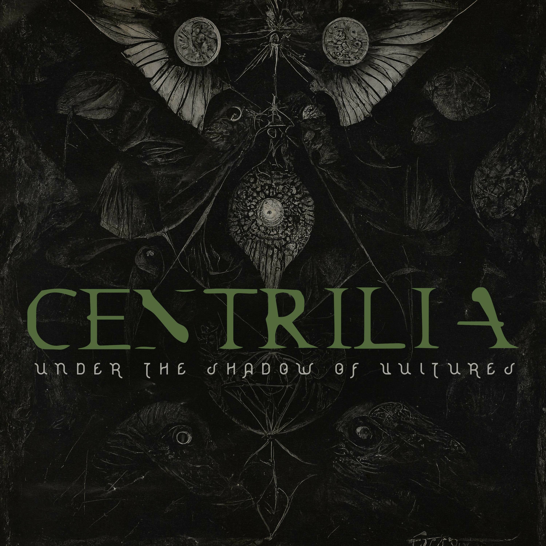 Album cover of Under The Shadow Of Vultures