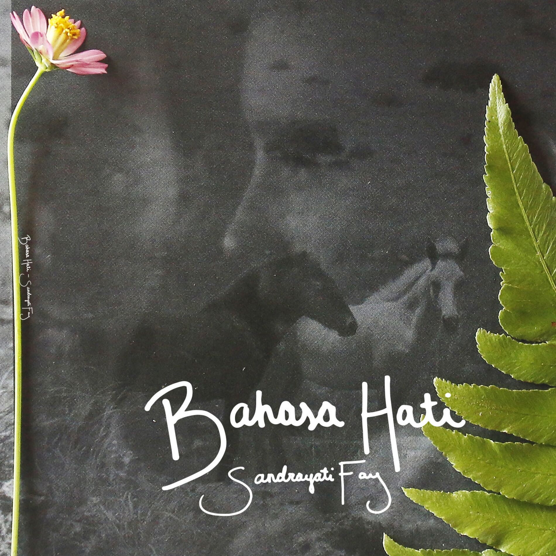 Album cover of Bahasa Hati