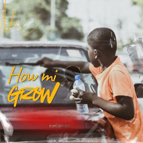 How Mi Grow