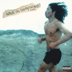 Cover of Walk On Everything