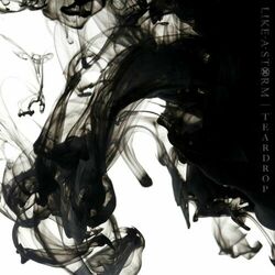 Cover of Teardrop