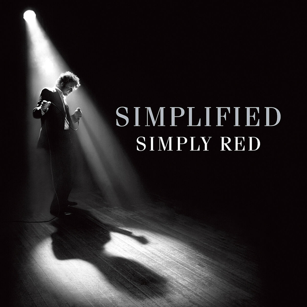 Album cover of Holding Back the Years (Simplified Version)