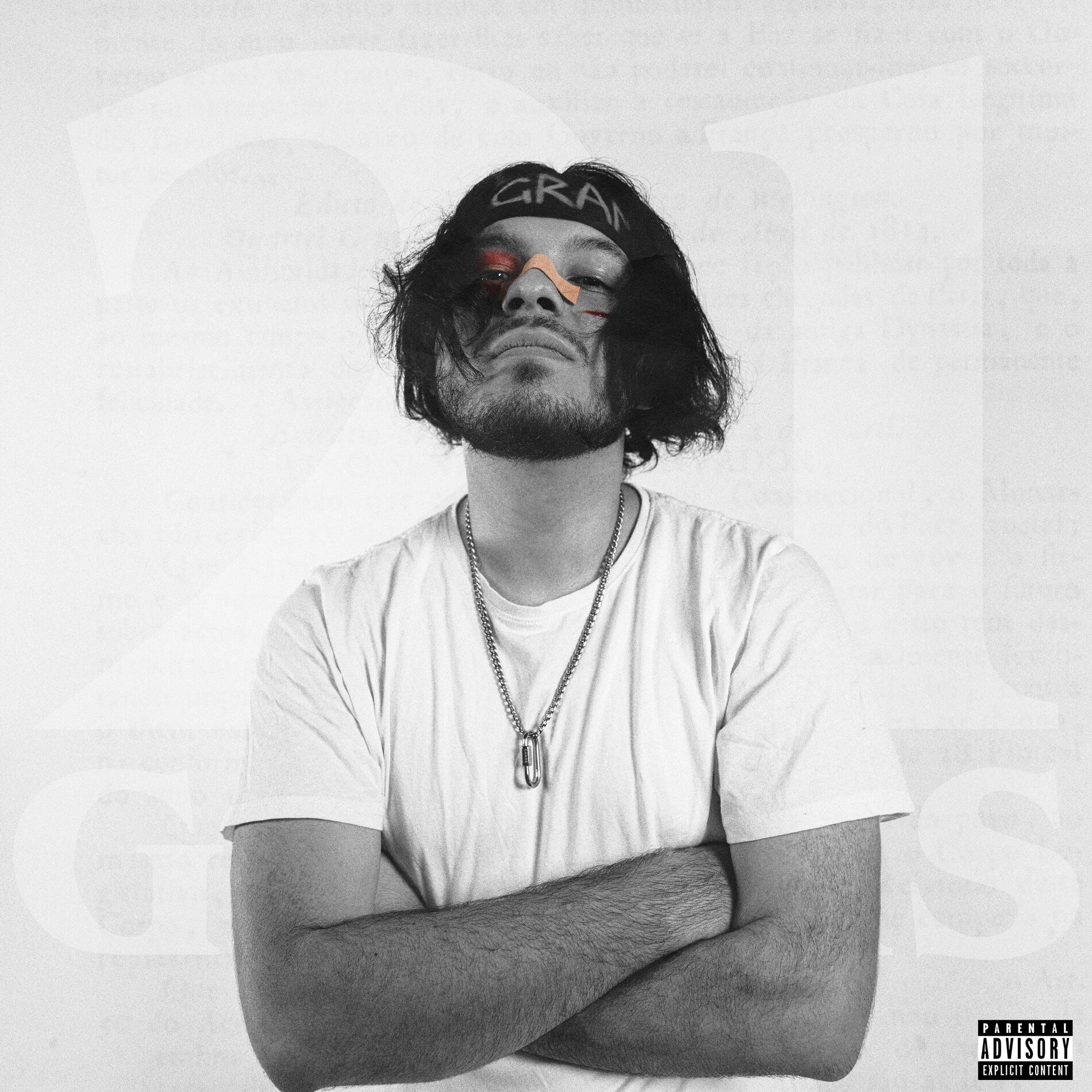 Album cover of 21 Grams