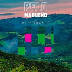 Cover of Respirando
