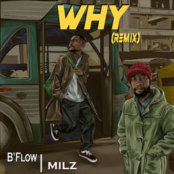 Cover of Why (Remix)