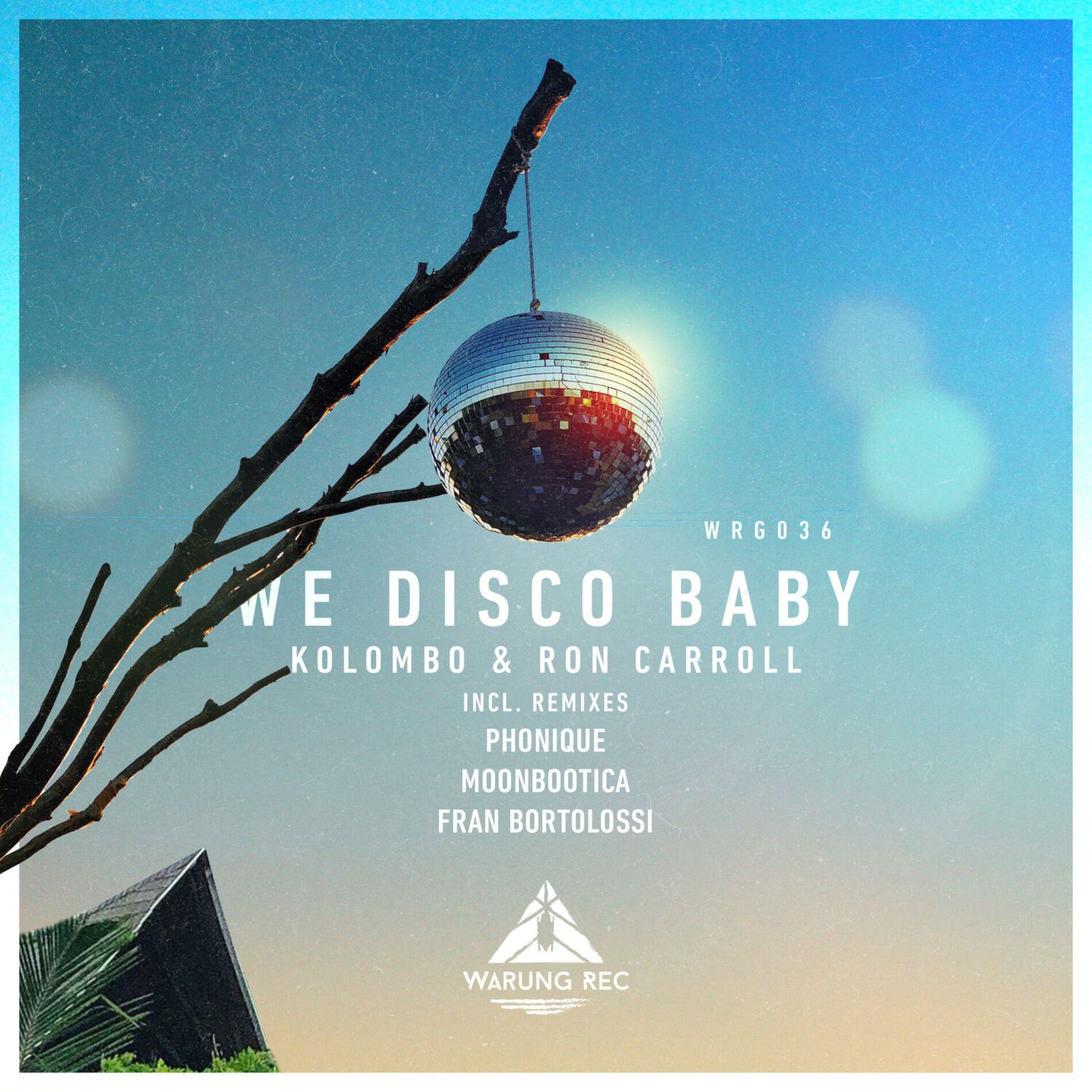 Album cover of We Disco Baby